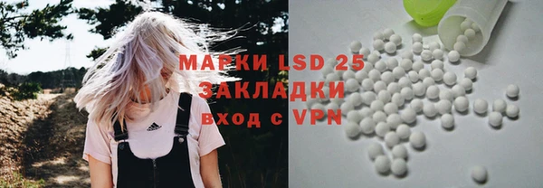 apvp Кукмор