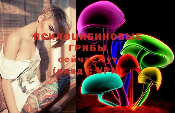 apvp Кукмор